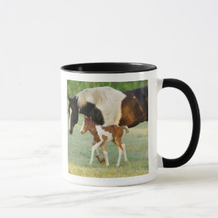 Caneca EUA, Flórida, Tinta Recém-Nascida
