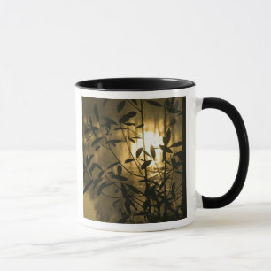 Caneca EUA, Geórgia, Callaway Gardens, Nascer do Sol