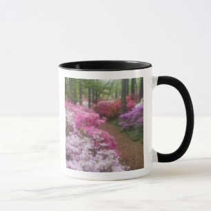 Caneca EUA; Geórgia; Pine Mountain. Azaléias em 2