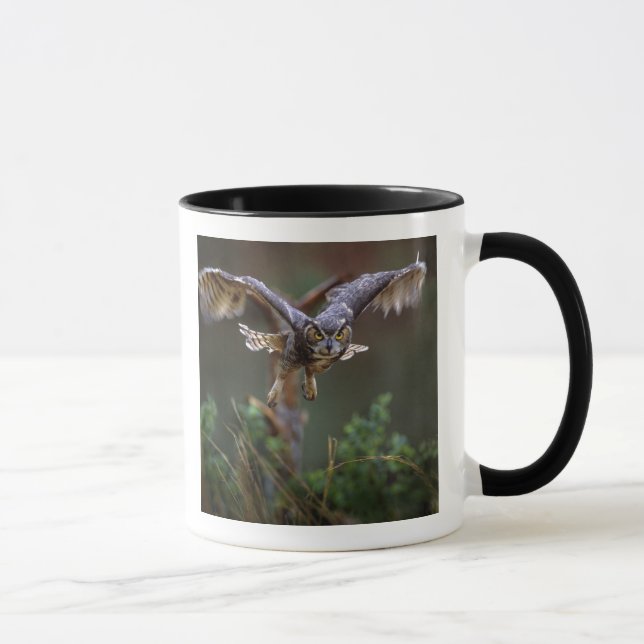 Caneca EUA, Geórgia, Pine Mountain, Callaway Gardens. (Direita)