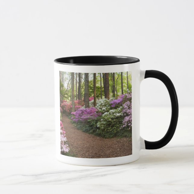 Caneca EUA, Geórgia, Pine Mountain. Uma trilha através (Direita)