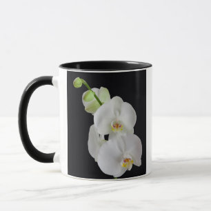 Caneca EUA, Geórgia, Savannah, Aglomerado de Orquídeas