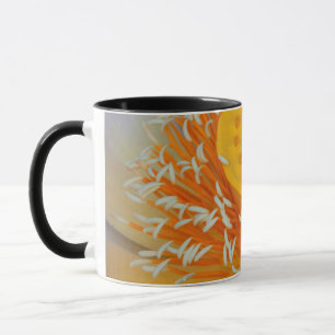 Caneca EUA, Geórgia, Savannah, Close-Up De Um Lótus