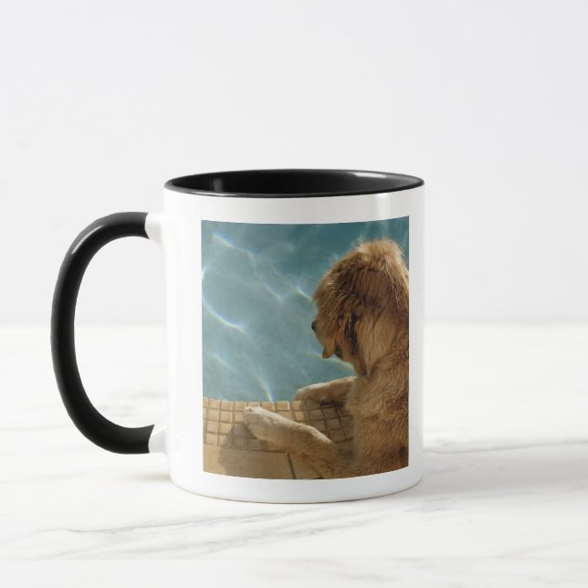 Caneca EUA, Havaí, Honolulu. (Esquerda)