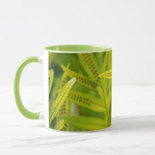 Caneca EUA, Havaí, Ilha Grande. Samambaia Verde Tropical (Esquerda)