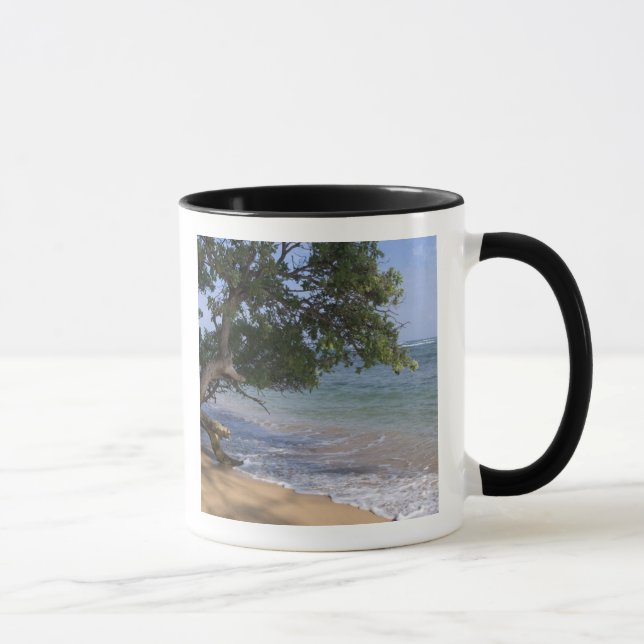 Caneca EUA, Havaí, Kauai, cenário de praia. RF) (Direita)