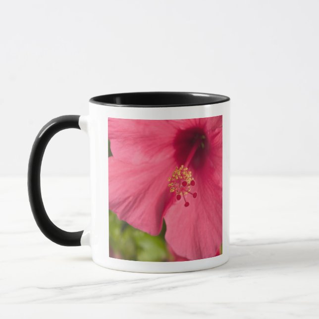 Caneca EUA, Havaí, Kauai, Hibiscus (Esquerda)