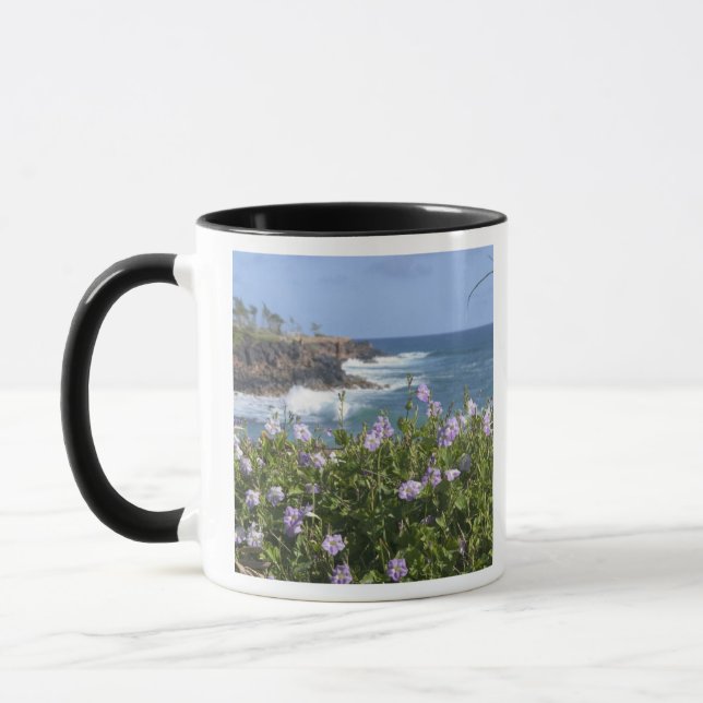 Caneca EUA, Havaí, Kauai, perto de Kapaa, noroeste (Esquerda)