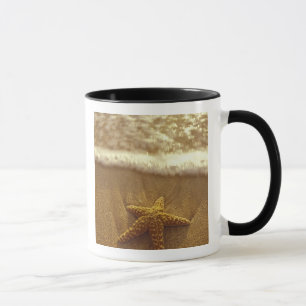 Caneca EUA, Havaí, Maui, Maui, Kihei, Estrela-do-mar e