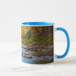 Caneca EUA, Indiana. Cataract Falls State Recreation