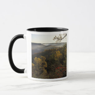 Caneca EUA, Kentucky. Floresta Nacional Daniel Boone.