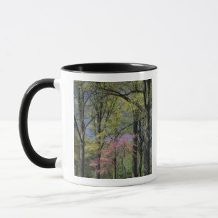 Caneca EUA, Kentucky, Louisville. Redbud Oriental