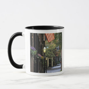 Caneca EUA, Massachusetts, Boston, Beacon Hill.