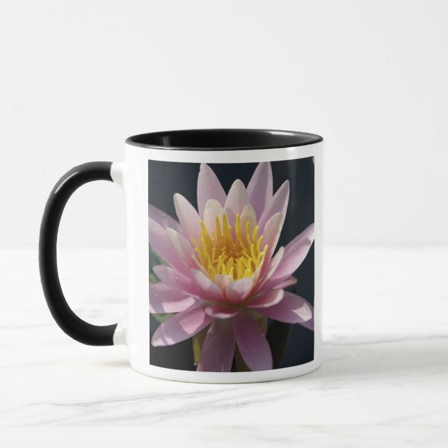 Caneca EUA, Massachusetts, Great Barrington, folha de lír (Esquerda)