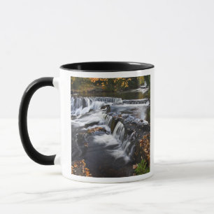 Caneca EUA, Michigan, Península Superior. Bond Falls e