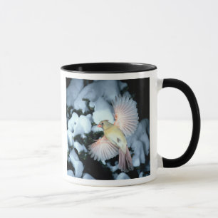 Caneca EUA, Minnesota, Mendota Heights, Cardinal feminino