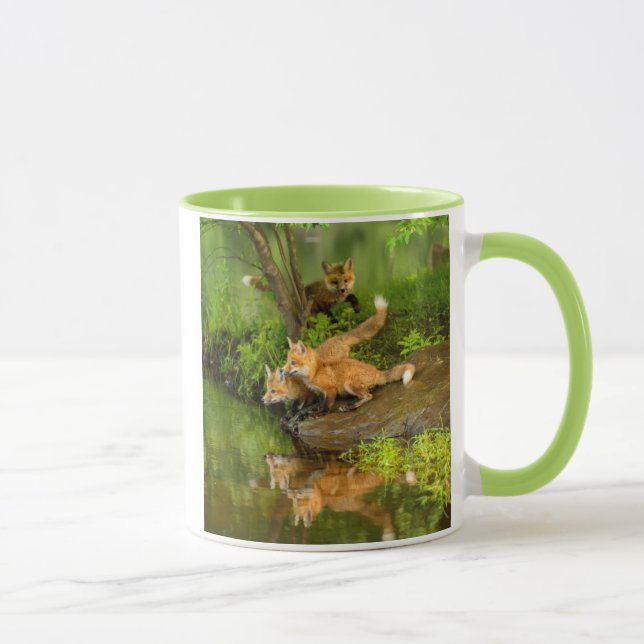 Caneca EUA, Minnesota, Sandstone, Minnesota Willife (Direita)