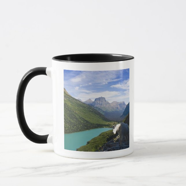 Caneca EUA, Montana, parque nacional de geleira, montanha (Esquerda)
