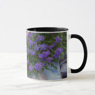 Caneca EUA, Montana, Parque Nacional Glacier