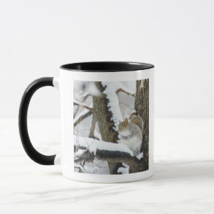 Caneca EUA, New York, Nova Iorque, assento do esquilo