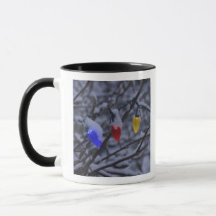 Caneca EUA, Nova Inglaterra, Massachusetts, leitura, 2