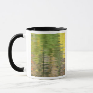 Caneca EUA, Nova York, Adirondacks, Reflexos na água