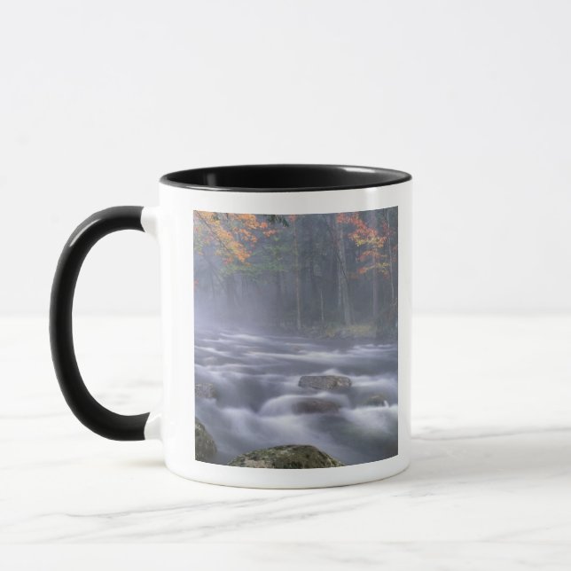 Caneca EUA, Nova York, Adirondacks, Rio Big Moose (Esquerda)