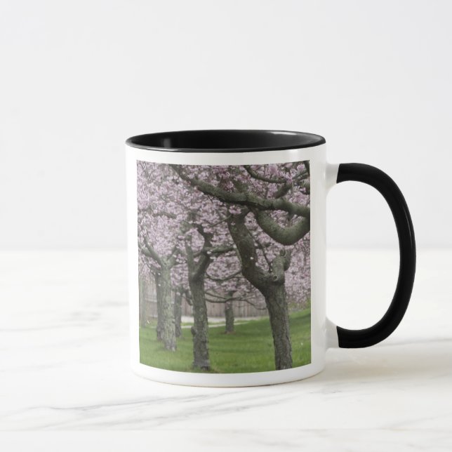 Caneca EUA, Nova York, East Hampton. Cerejeiras em (Direita)