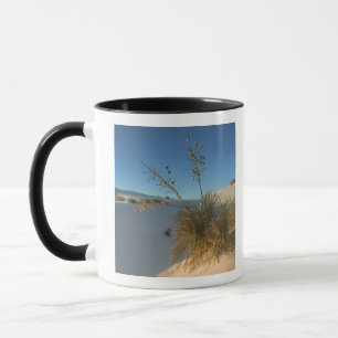 Caneca EUA, Novo México, White Sands National 3