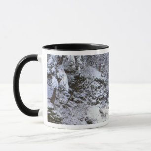 Caneca EUA, Oregon, Desfiladeiro do Rio Columbia