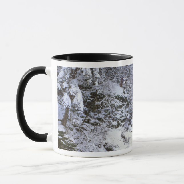 Caneca EUA, Oregon, Desfiladeiro do Rio Columbia (Esquerda)