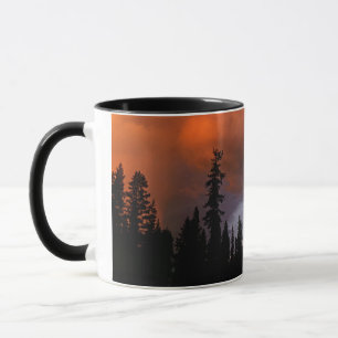 Caneca EUA, Oregon, Floresta Nacional de Umpqua. Tempesta