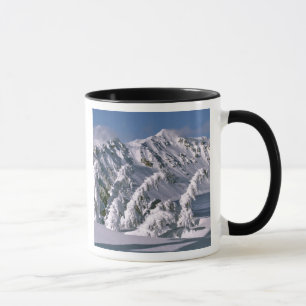 Caneca EUA, Oregon, Parque Nacional Crater Lake. Árvores