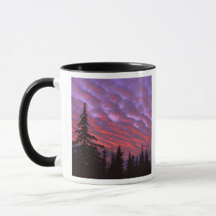 Caneca EUA, Oregon, Three Sisters Wilderness, Vívido