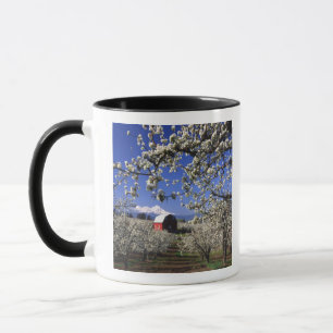 Caneca EUA, Oregon, Vale do Rio Hood, Pomar de peras