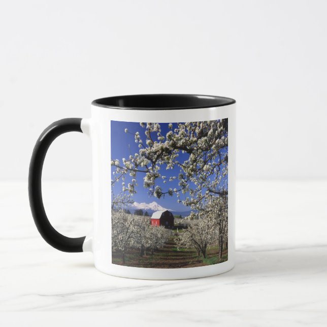Caneca EUA, Oregon, Vale do Rio Hood, Pomar de peras (Esquerda)