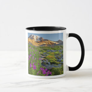 Caneca EUA, Parque Nacional Mt. Rainier, Washington.