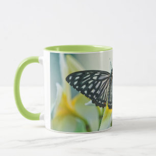 Caneca EUA, Pensilvânia. Borboleta rabo-de-andorinha