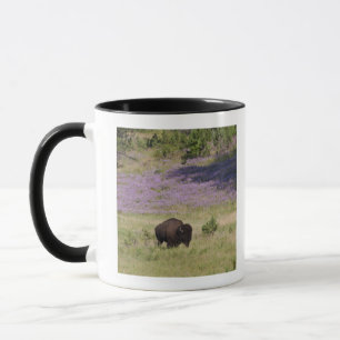 Caneca EUA, South Dakota, bisonte americano (bisonte do