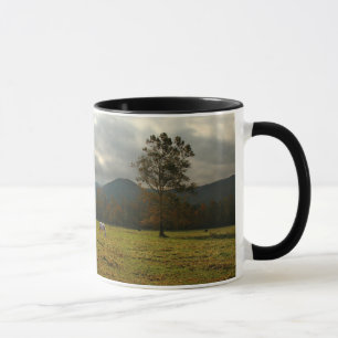 Caneca EUA, Tennessee. Cavalos Em Cades Cove Valley