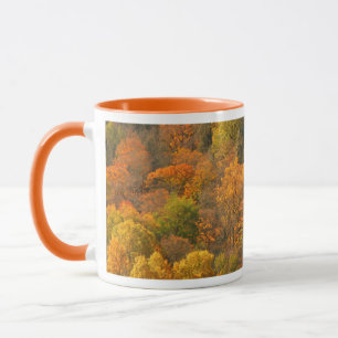 Caneca EUA, Tennessee. Folhagem de Outono 2