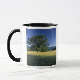 Caneca EUA, Tennessee. Grandes Montanhas Smokey 3
