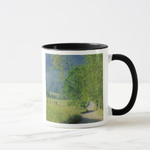 Caneca EUA, Tennessee, Great Smoky Mountains NP,