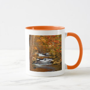 Caneca EUA, Tennessee. Rushing Mountain Creek