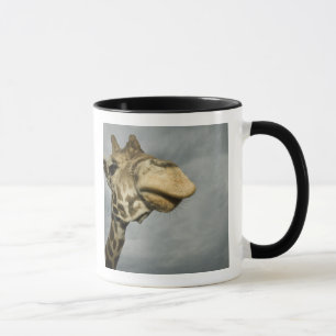 Caneca EUA, Texas, Fossil Rim Wildlife Area, girafa