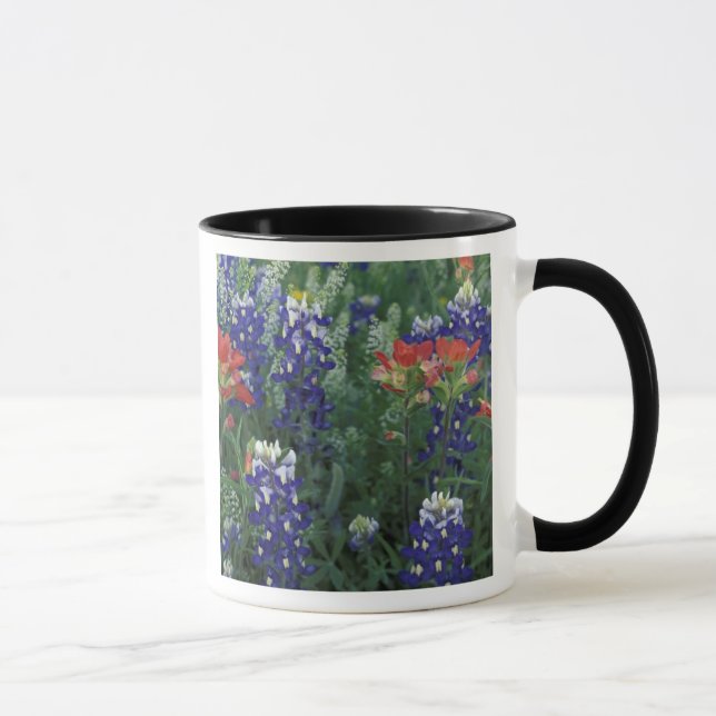 Caneca EUA, Texas Hill Country. Bluebonnets e (Direita)