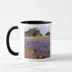 Caneca EUA, Texas, Llano. Bluebonnets e redbonnets