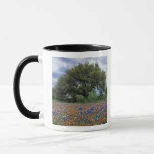 Caneca EUA, Texas, Marble Falls Paintbrush e