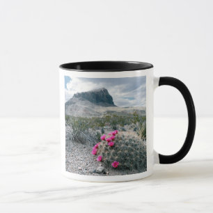 Caneca EUA, Texas, Parque Nacional Big Bend.Bloqueio