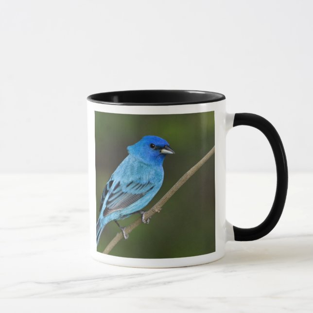 Caneca EUA, Texas, South Padre Island (Direita)